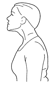 Chin